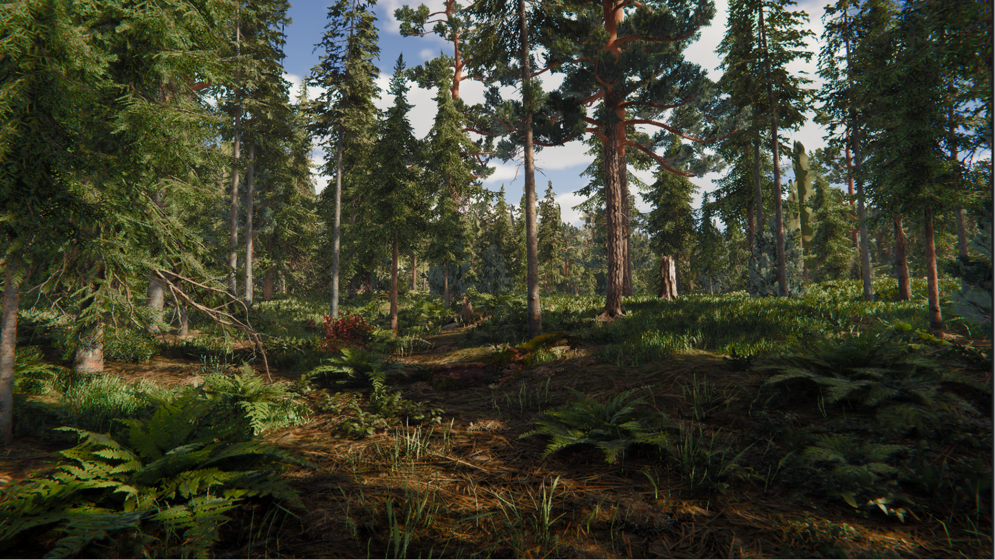 Forest scene with tall trees and underbrush in 16:9 ratio
