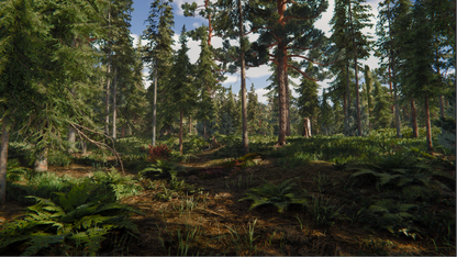 Forest scene with tall trees and underbrush in 16:9 ratio