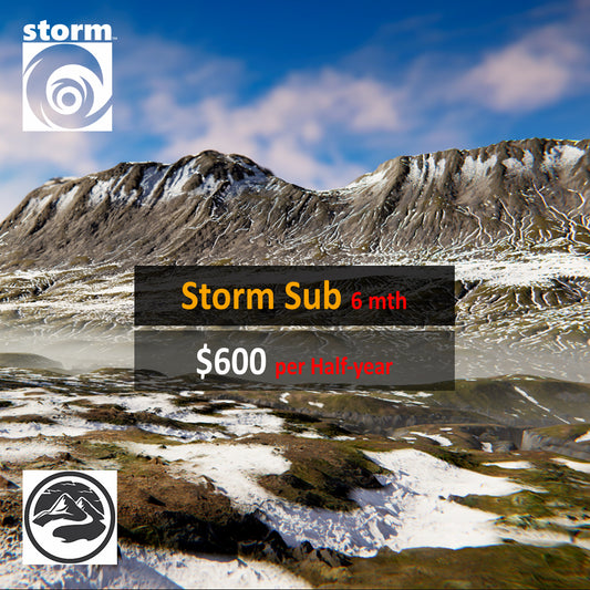 Storm Half-yearly Subscription
